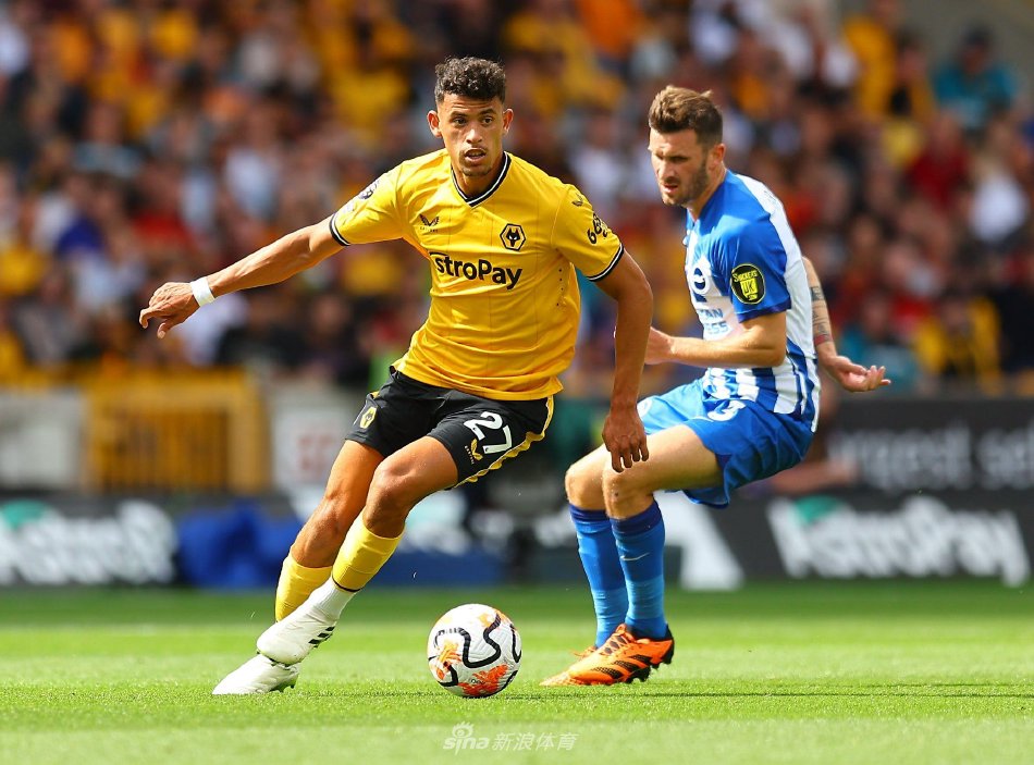 保持一定的 保持一定的